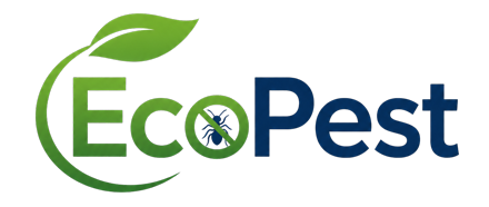 EcoPest · Control de Plagas Rubí