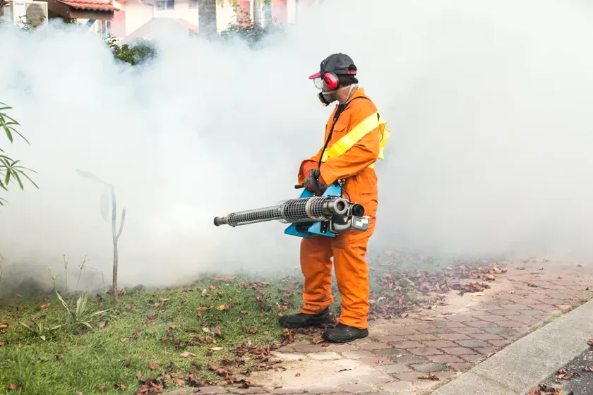 Control del mosquito tigre en Rubí — EcoPest