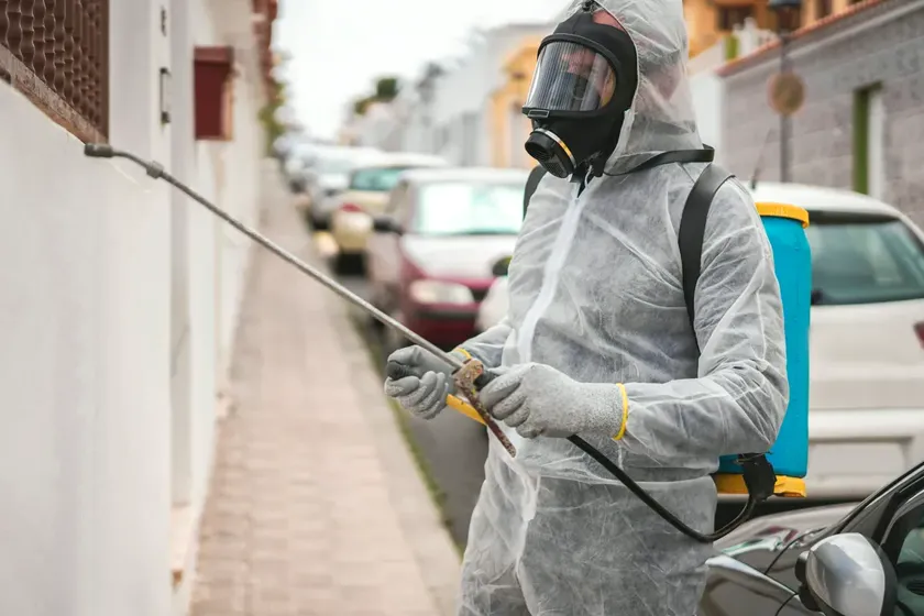 Tratamiento de hormigas en Rubí — EcoPest