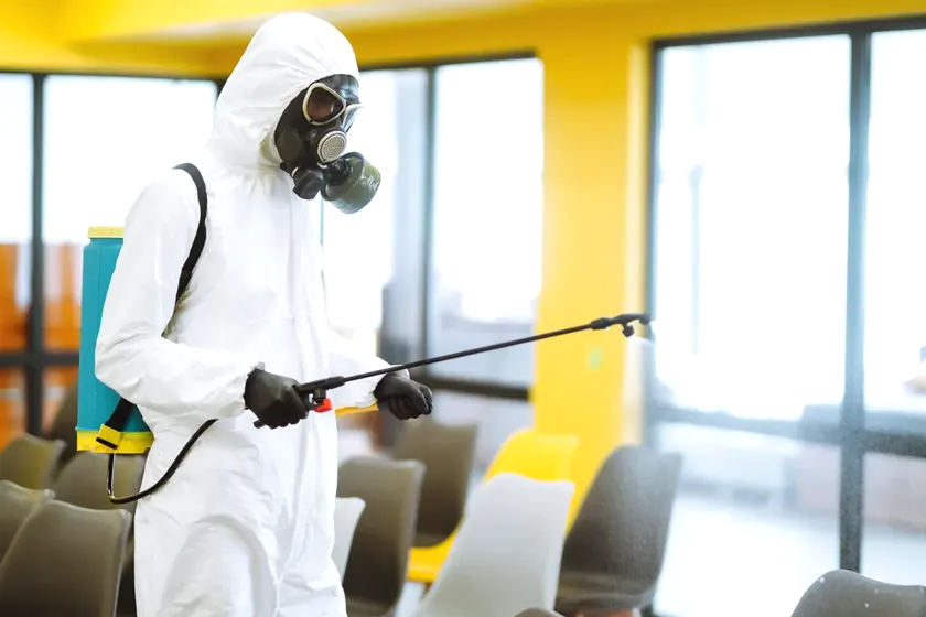 Control de plagas para clínicas y residencias en Rubí — EcoPest